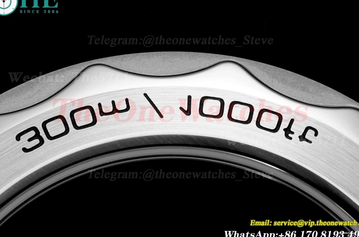 Seamaster Wht A8800 SS SS blue 300m 42mm JVSF 0112